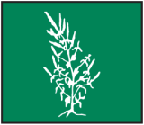 Allergy  & Asthma Centers SC