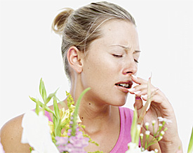 allergy pollen count